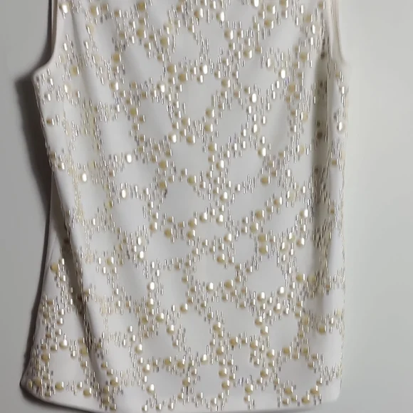 ST.JOHN Evening Ivory With Silver and Cream Elegant Sleeveless Top Size 8 - Picture 5 of 16